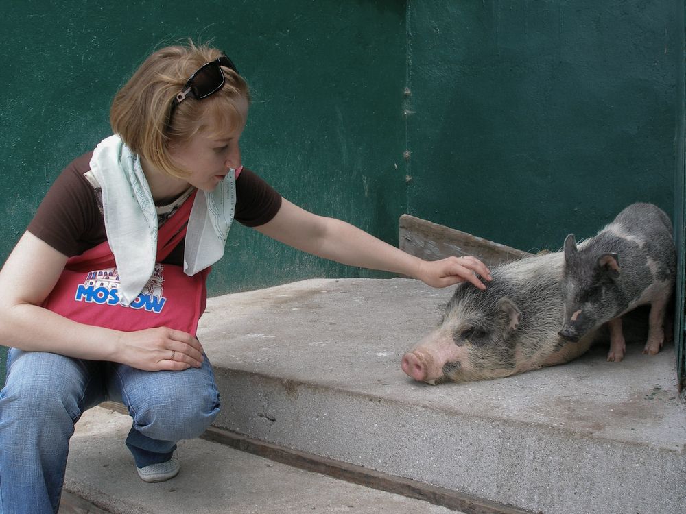 Photograph by Виталий Са