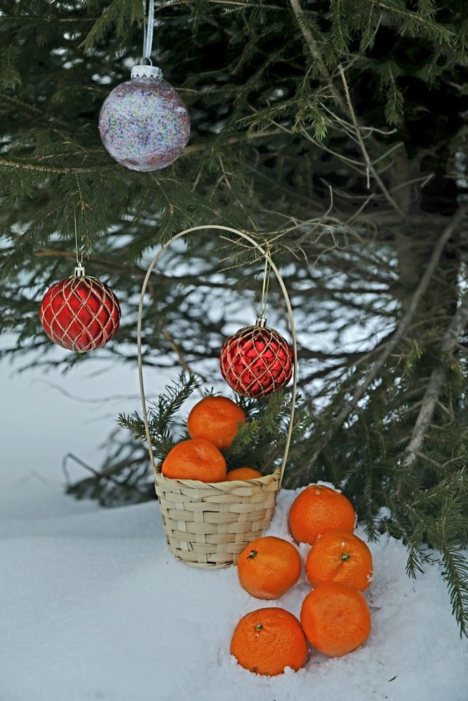 Photograph by Лариса Ким