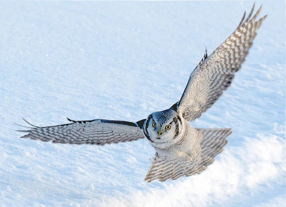 Во всей красе!