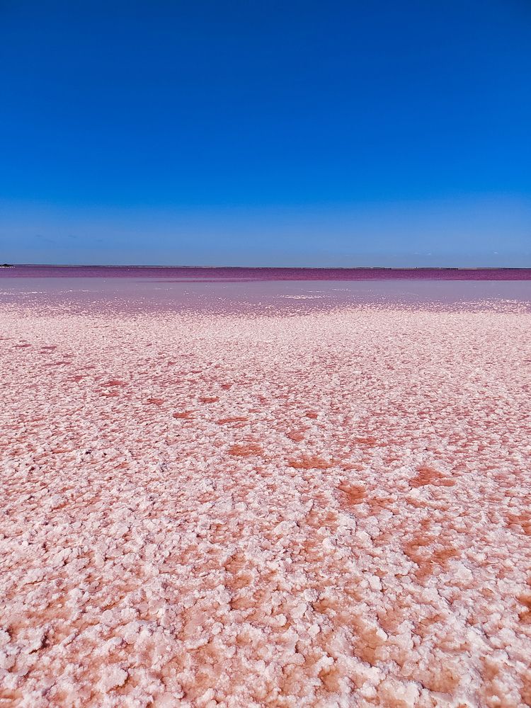 Фотография автора Наталья Королева