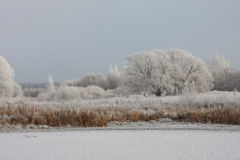 Photograph by Нина Фролова