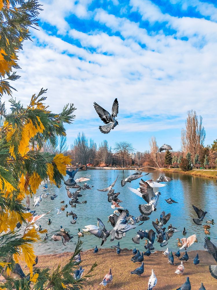 Фотография автора Наталья Королева