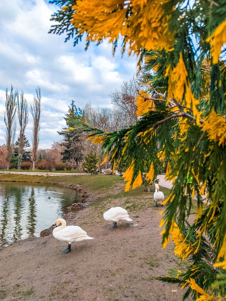 Фотография автора Наталья Королева