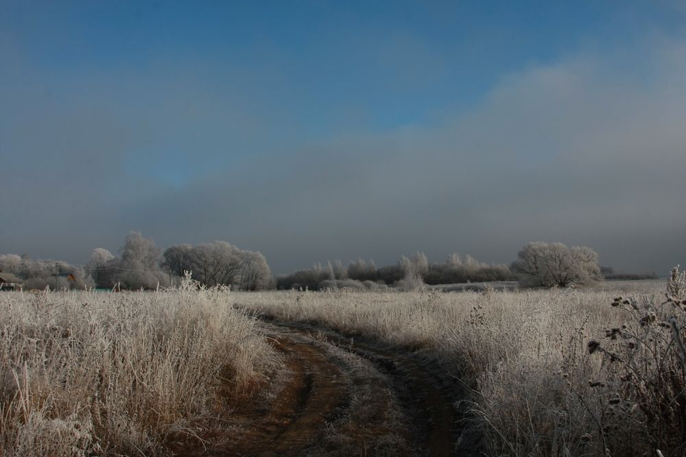 Photograph by Нина Фролова