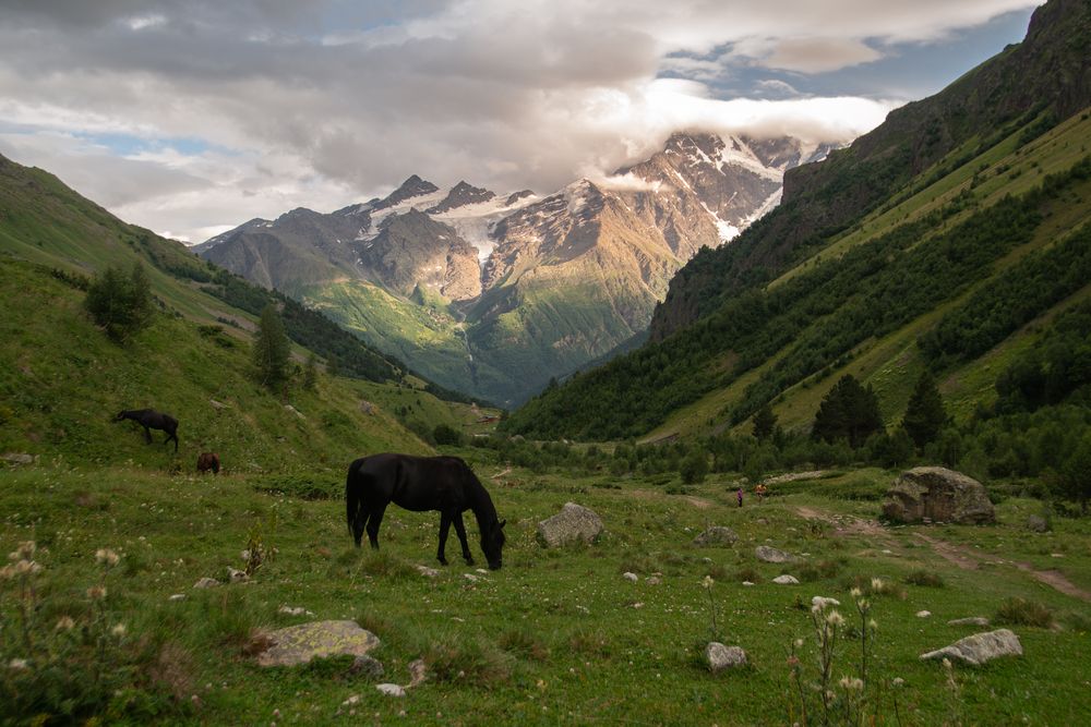 Photograph by Семён Кузнецов