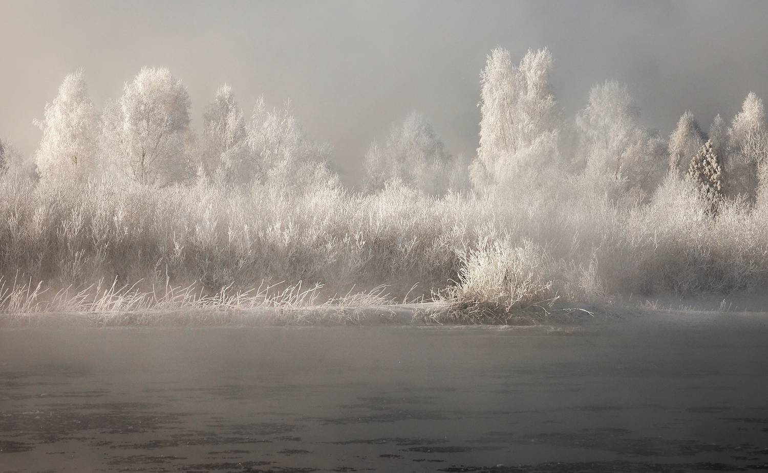 Фотография #13157322