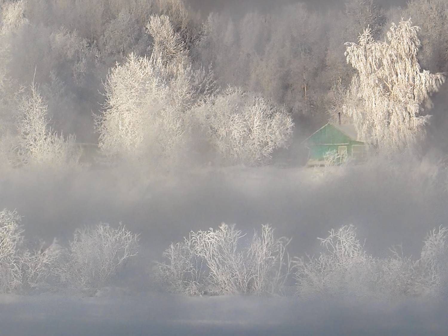 Фотография #13157323