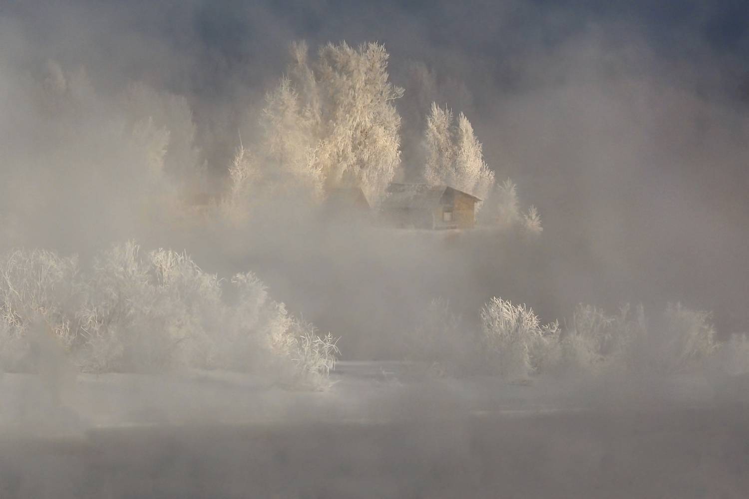 Фотография #13157324