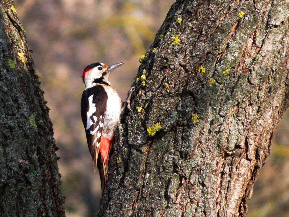 Photograph by Mila Nikolova