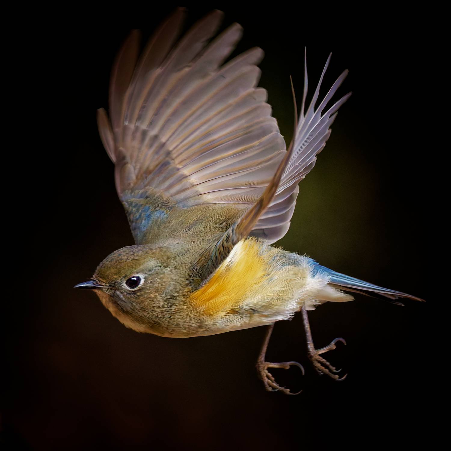 Фотография #13157346