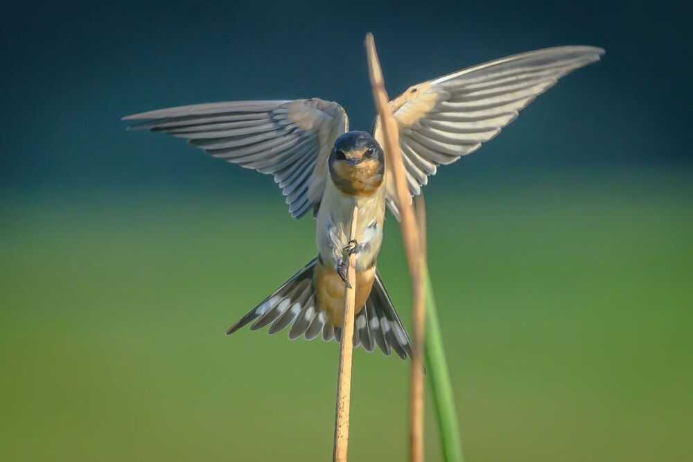 Фотография автора Erik Nelson