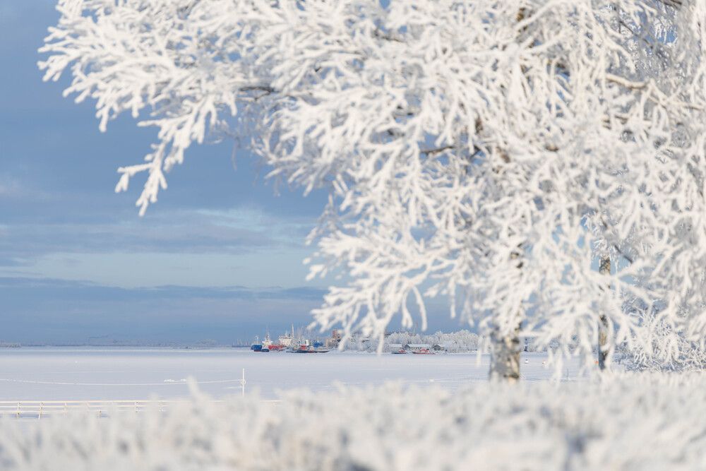 Набережная, Архангельск 2026г.