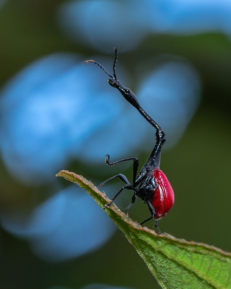 Photograph by Sangeetha Damodaran