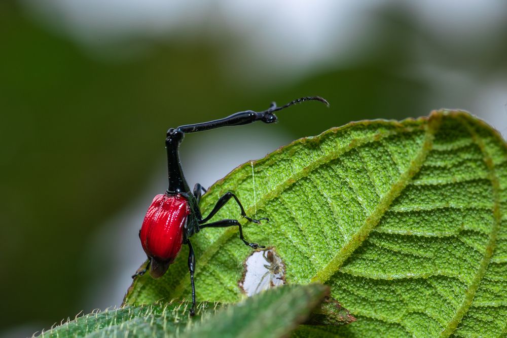 Photograph by Sangeetha Damodaran