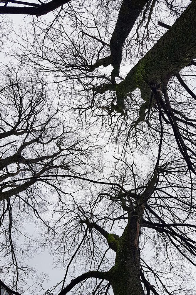 Фотография автора Nadezhda Khrustaleva