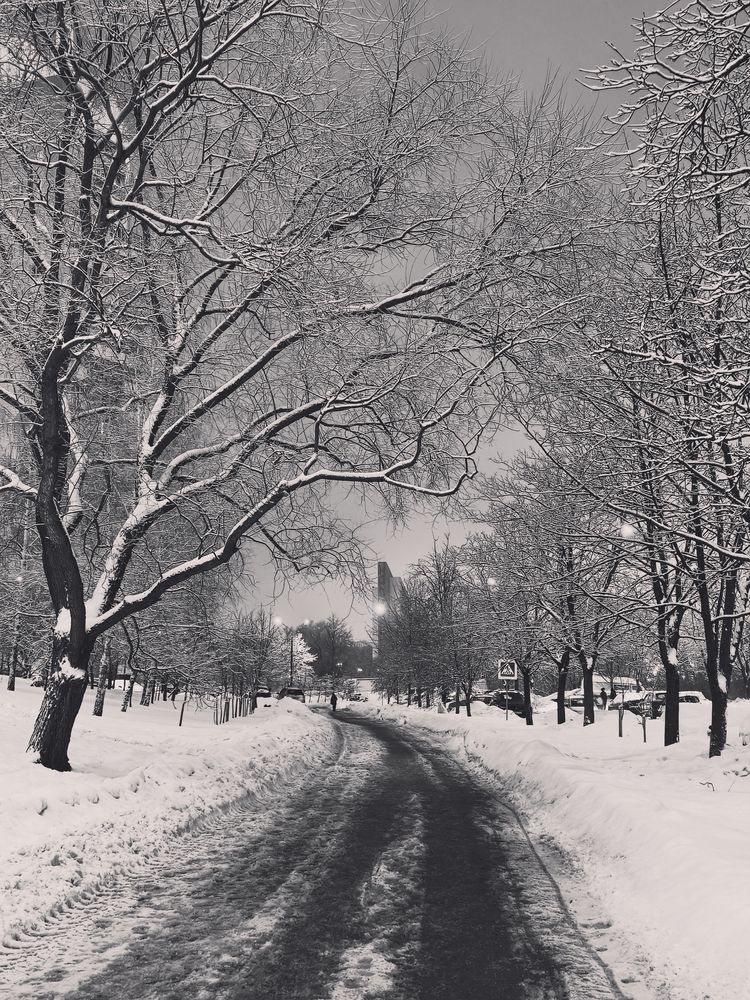 Photo #13157415