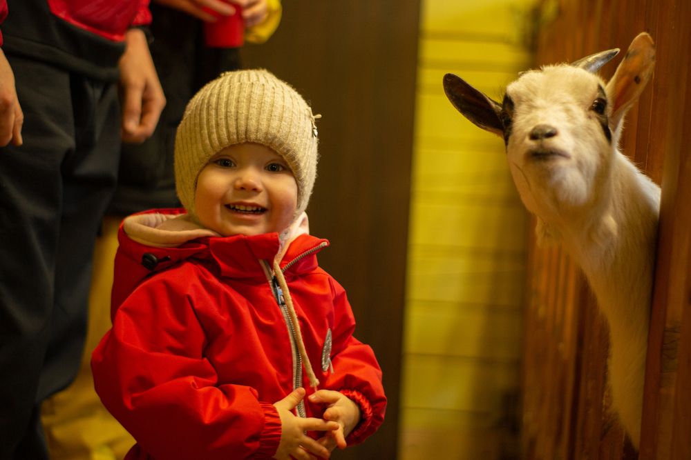 Photograph by Мария Котлярова