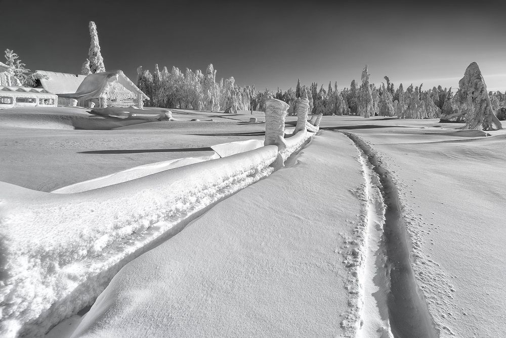 Фотография автора Владимир Чуприков