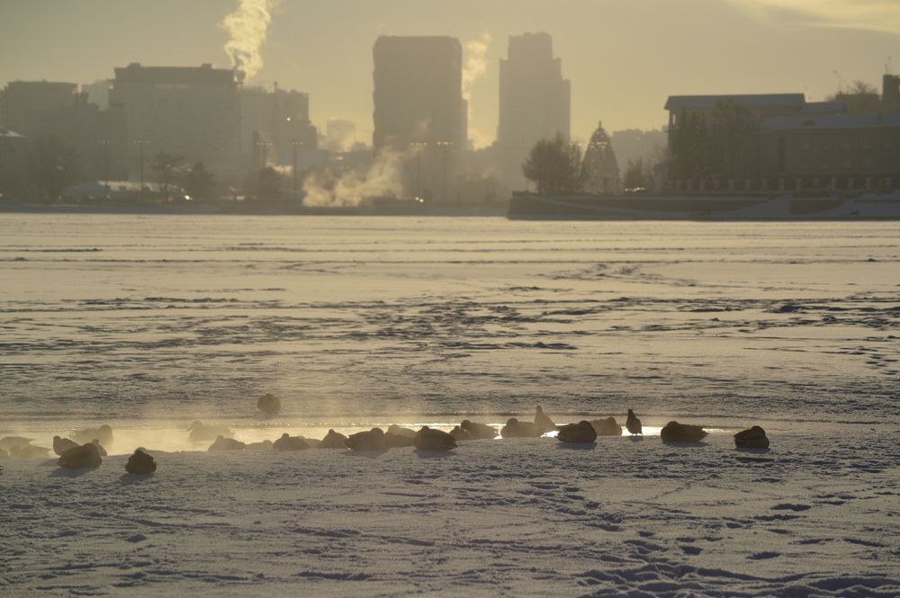 Photograph by Сергей Рябов