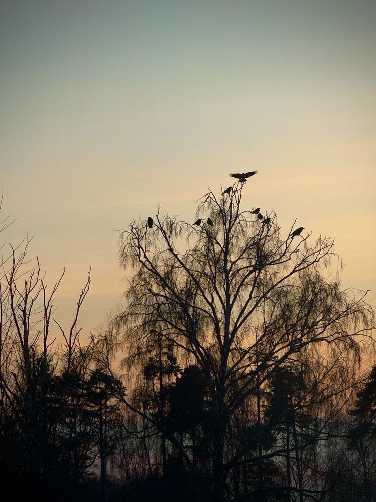 Photograph by Ксения Юртаева