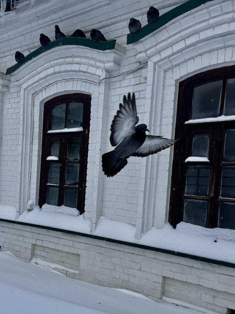 Photograph by Ксения Юртаева