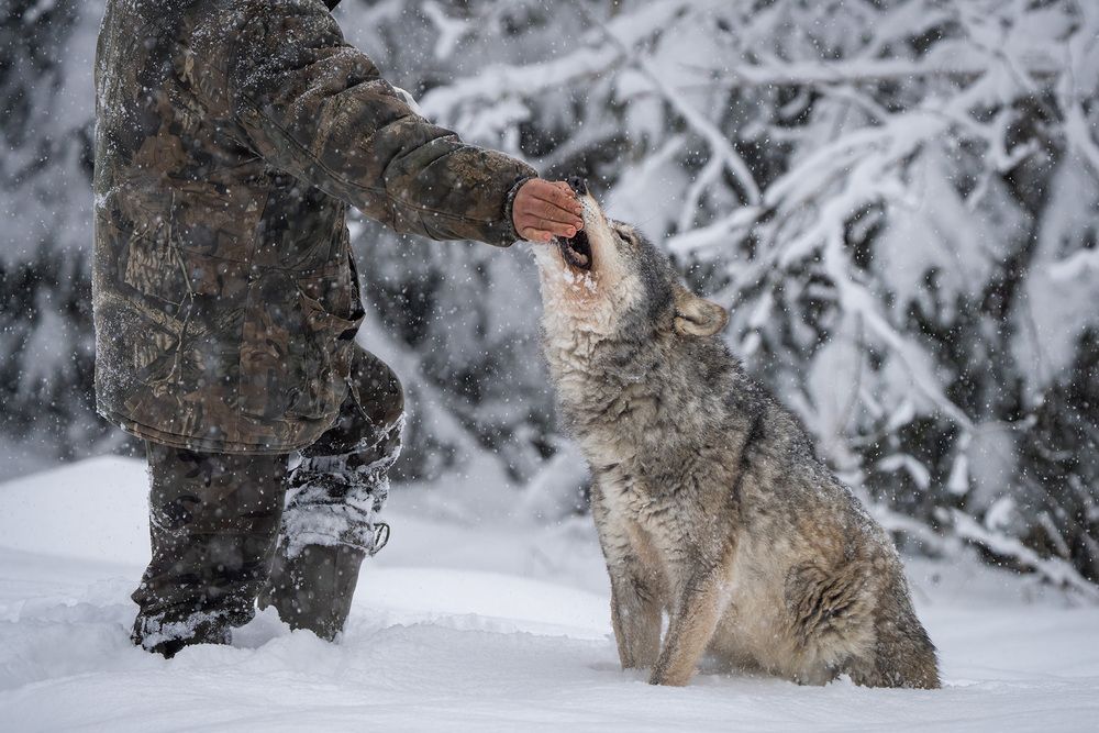 Photograph by Vladimir Ostapenko