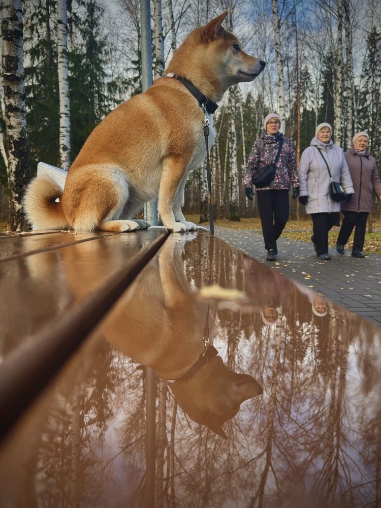 Photograph by Ксения Юртаева