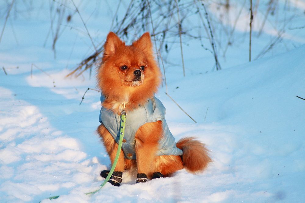 Photo #13157605