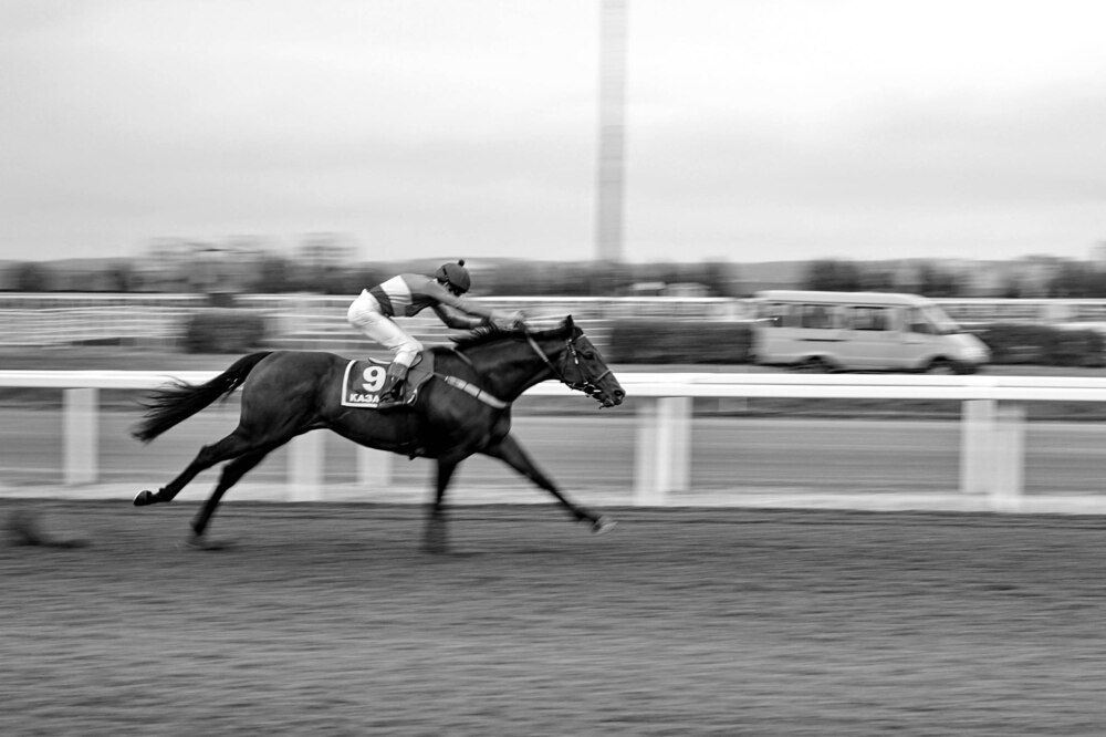 Photograph by Игорь Пшеничников