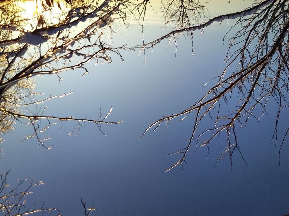 Photograph by Ксения Звонникова