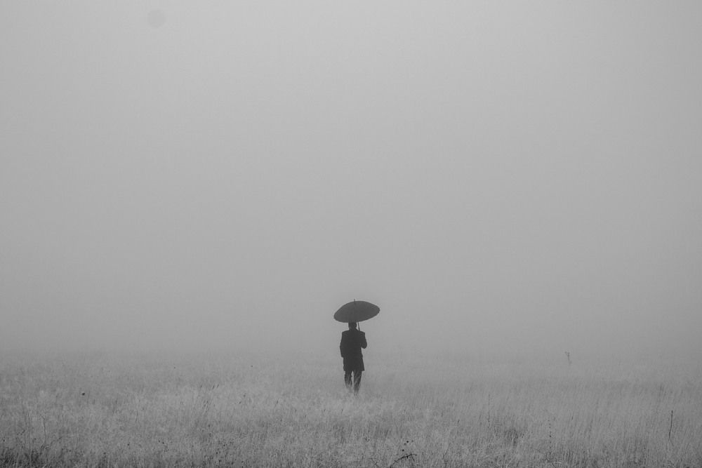 Фотография автора MOJDEH NOROUZI