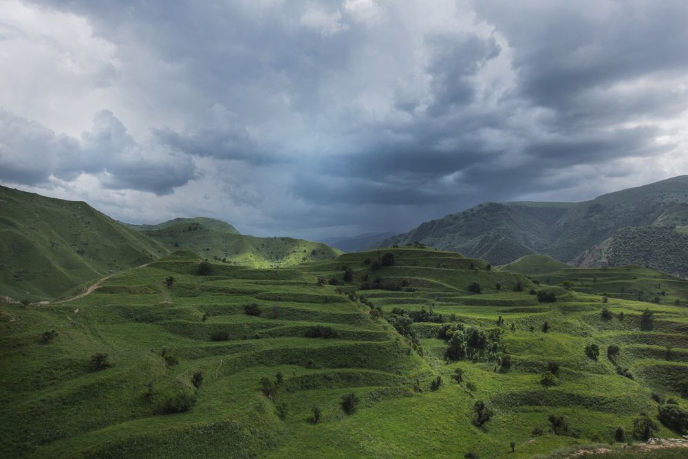 Photograph by Виктория
