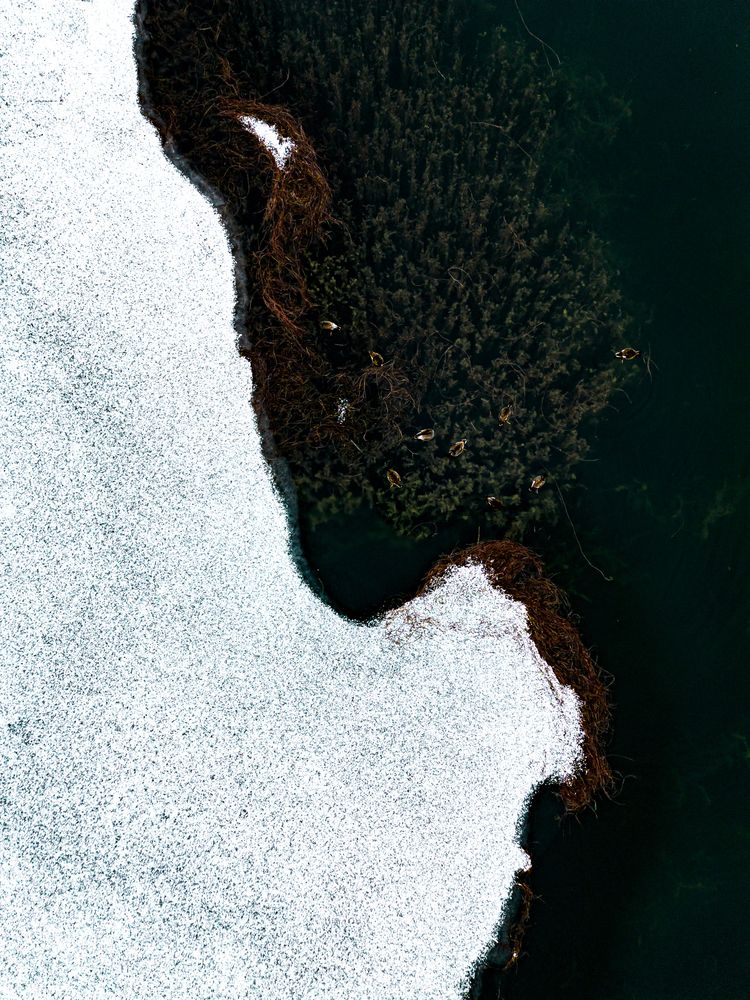 Photograph by Boglarka Barkoczi