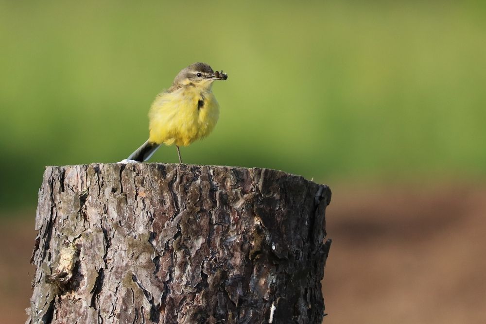 Photograph by Владимир Перминов