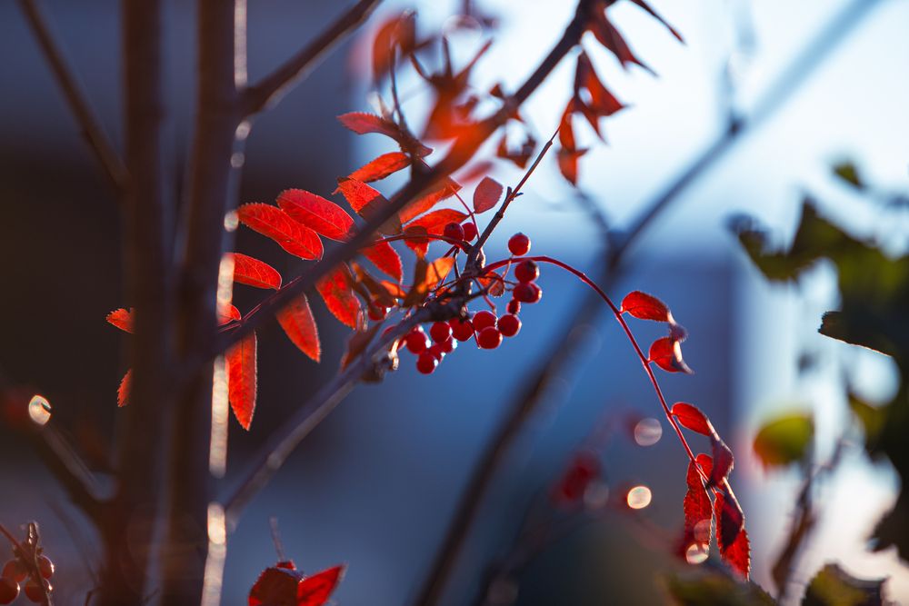 Фотография автора Виталий Са