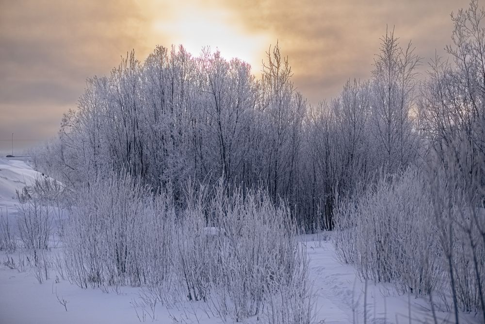 Фотография автора Виталий Са