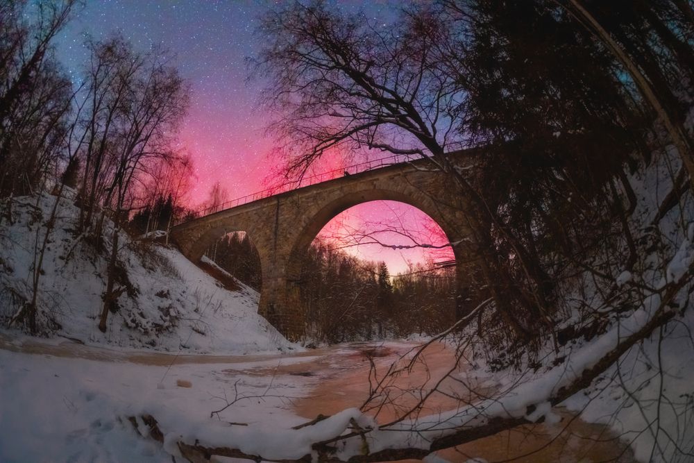 Фотография автора Третьякова Анастасия