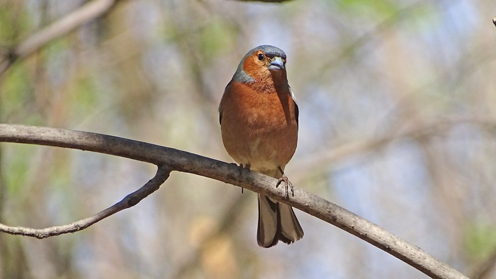 Photograph by Alexsandr Gl