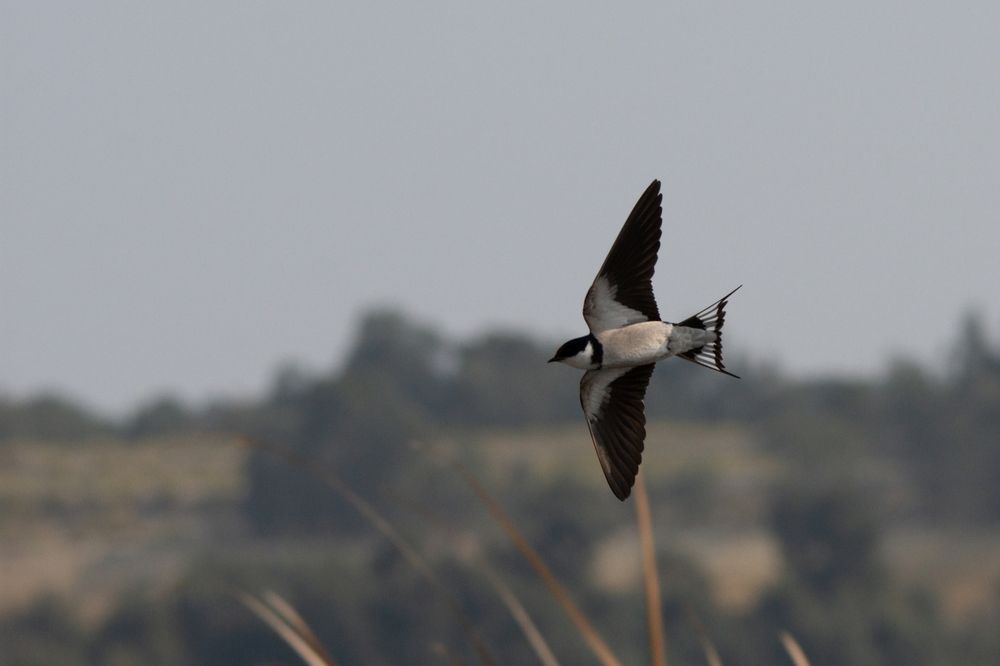 Photograph by Mark Robert Fruhauf