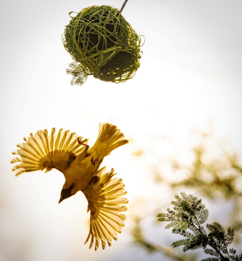 Photograph by Mark Robert Fruhauf