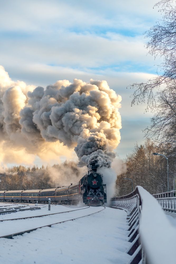 Фотография автора Третьякова Анастасия