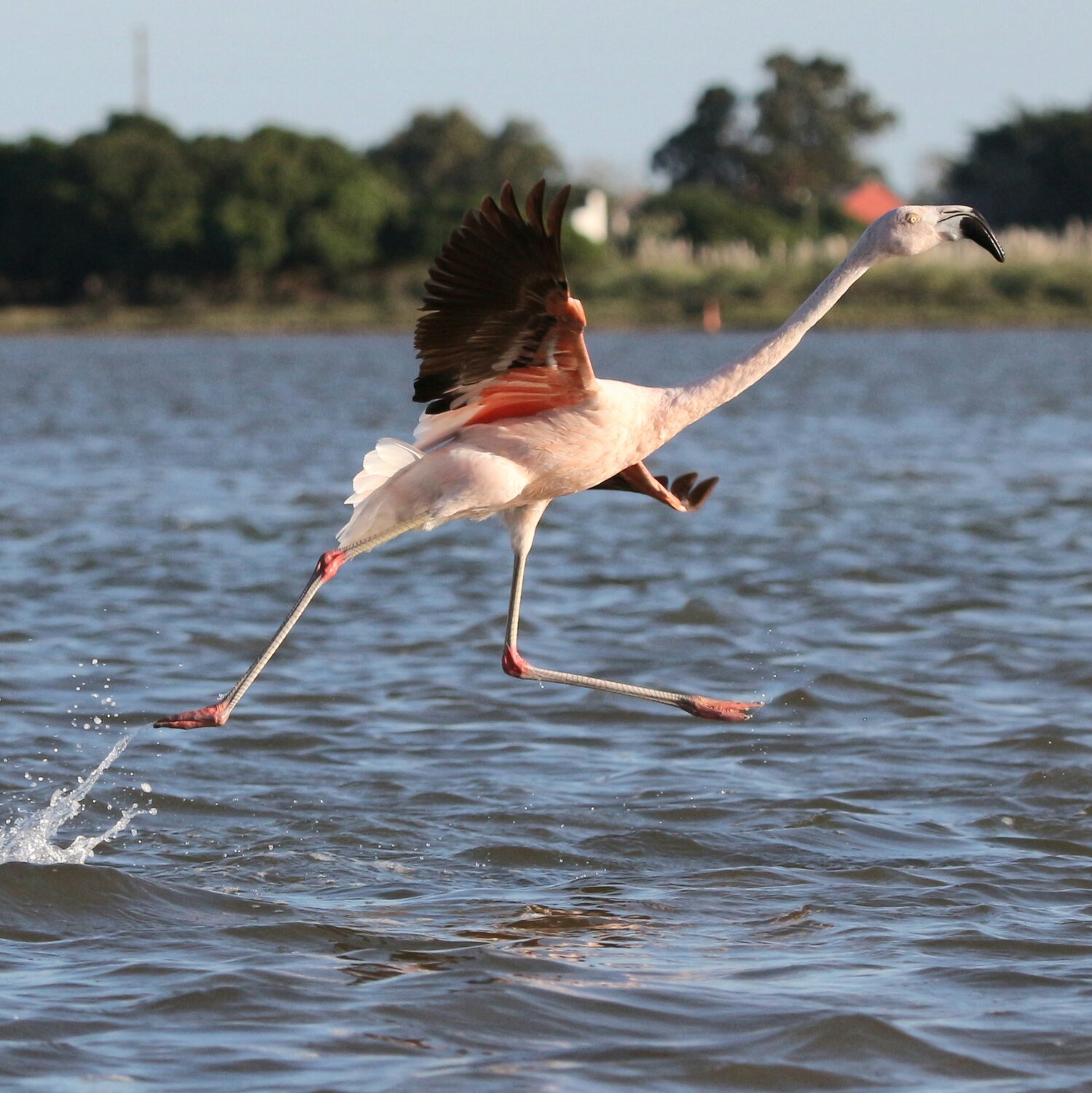 Photo #13157828