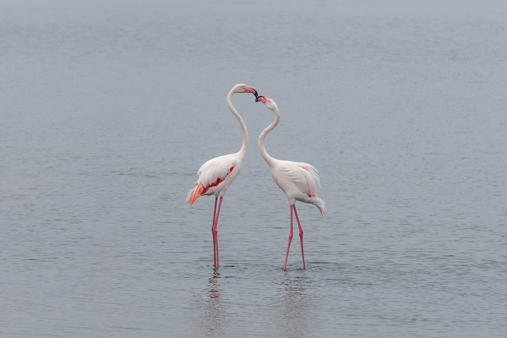 Photograph by Андрей Шабис