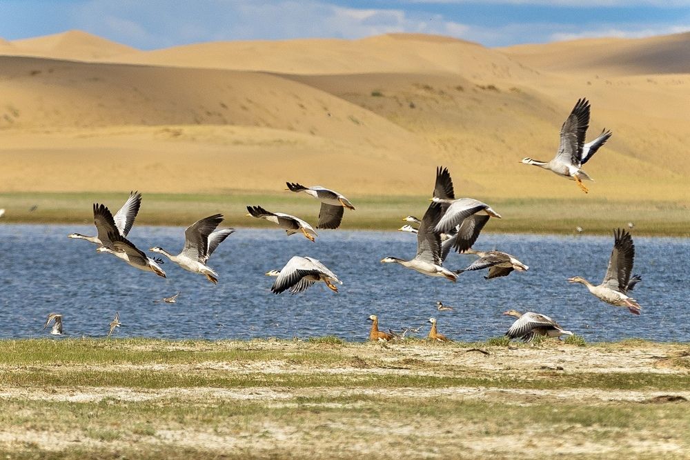 Photograph by Андрей Шабис