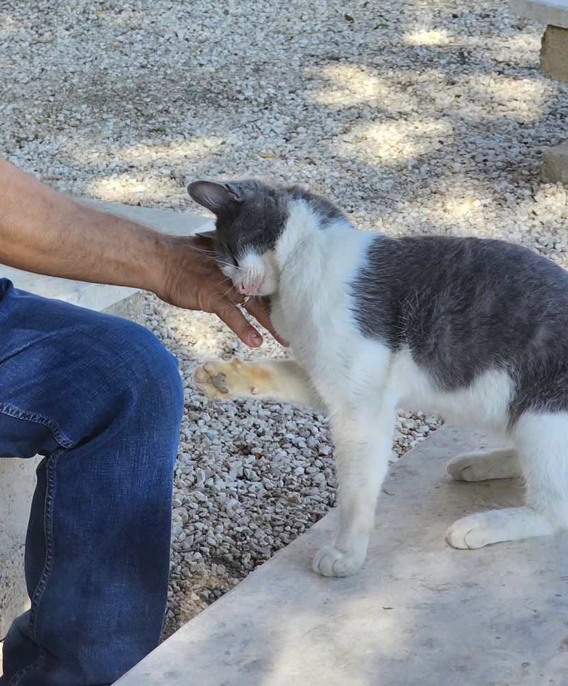 Photograph by Oksana Podgorodetska