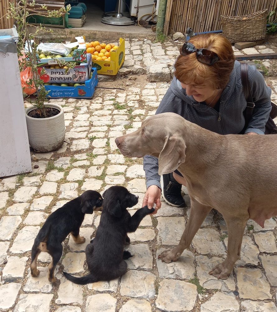 Photograph by Oksana Podgorodetska