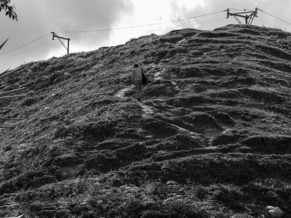 Photograph by Mateo Arbelaez