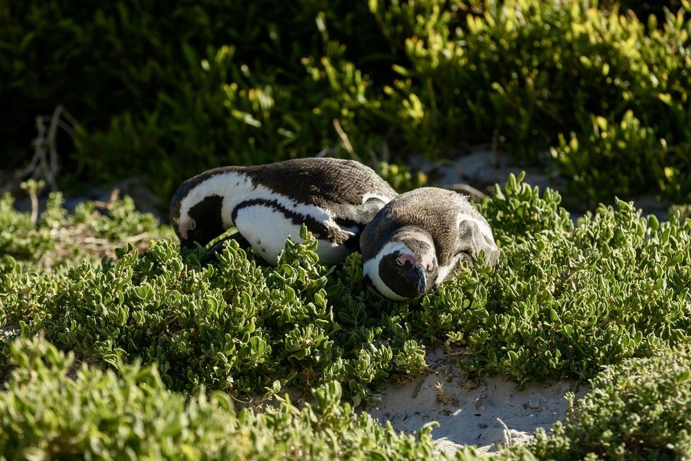 Photograph by Андрей Шабис