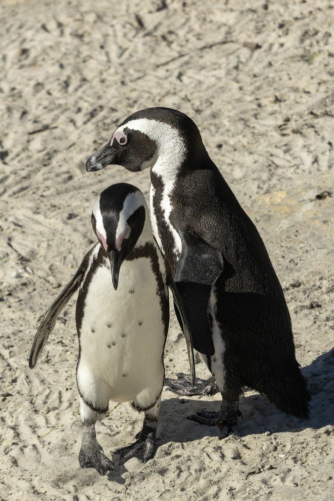 Photograph by Андрей Шабис