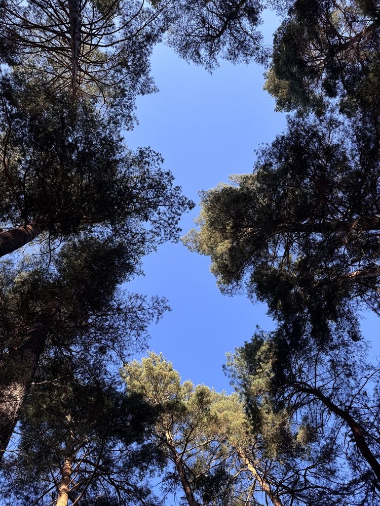 Photograph by Бойкова Наталия